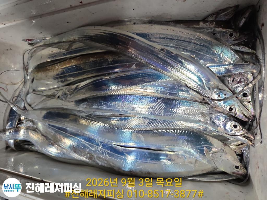 낚시뚜,갈치,진해1부두항,진해레져피싱,낚시뚜16