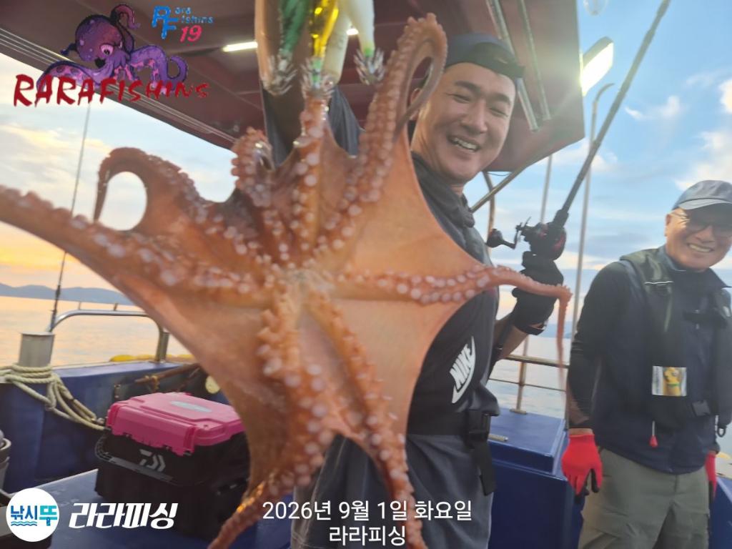 낚시뚜,돌문어,속천항(진해),라라피싱,낚시뚜3