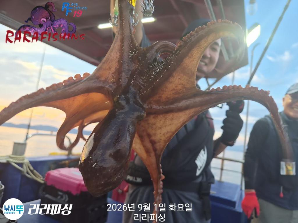 낚시뚜,돌문어,속천항(진해),라라피싱,낚시뚜2