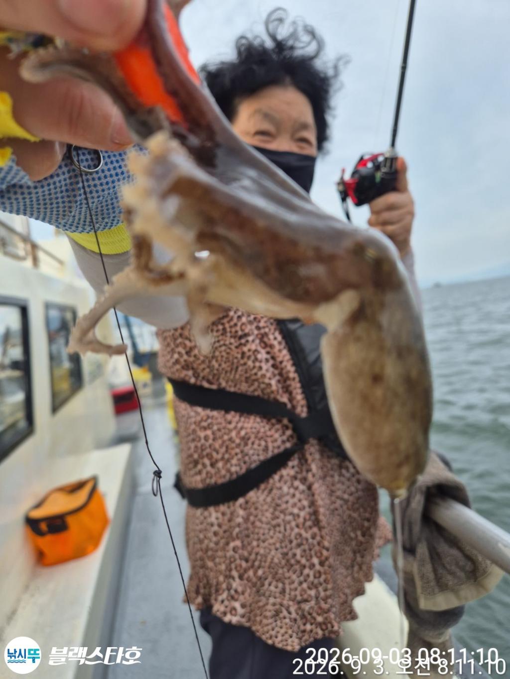 낚시뚜,돌문어,쭈꾸미,삼천포 팔포항,삼천포 블랙스타,낚시뚜2