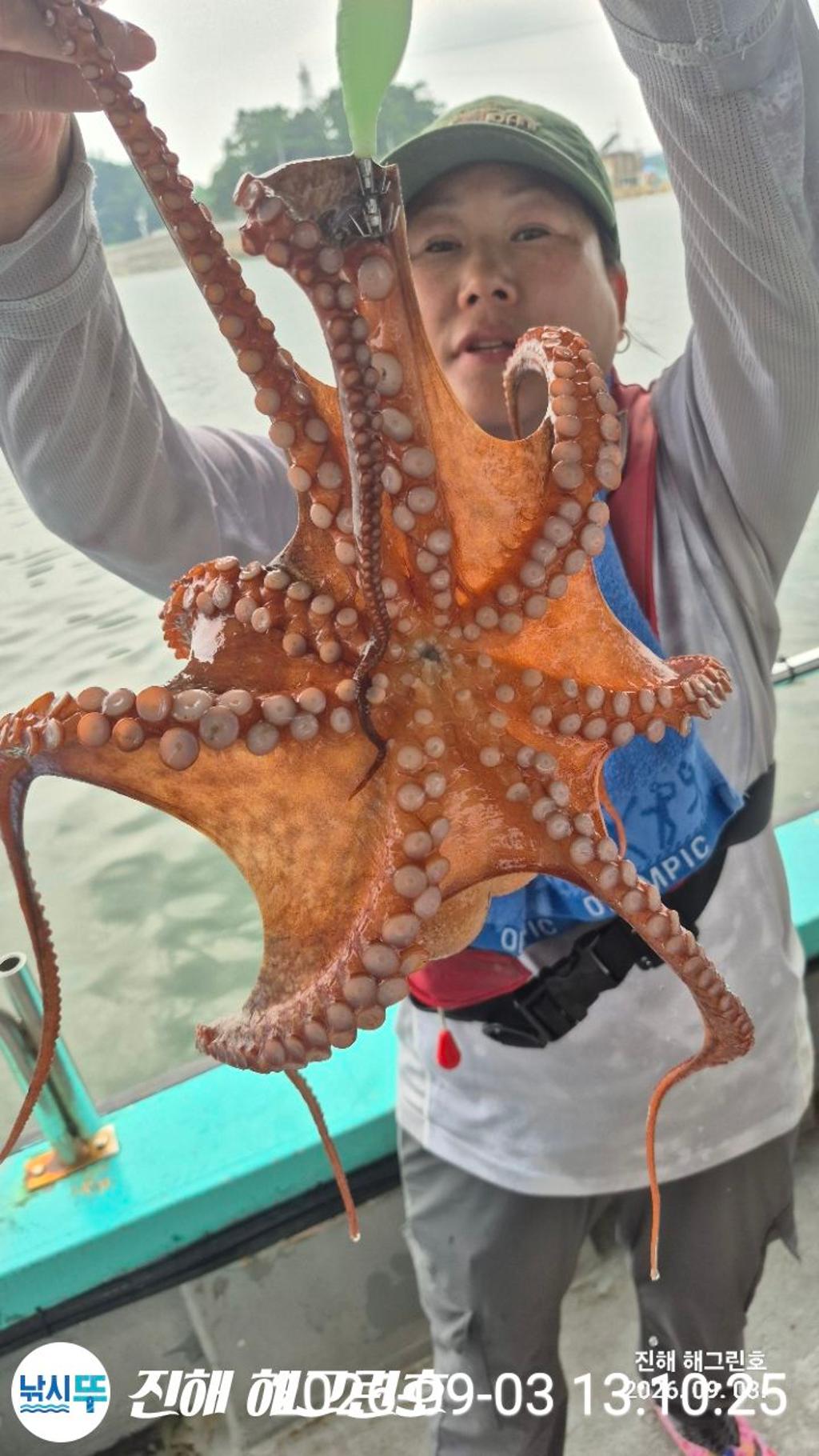 낚시뚜,돌문어,삼포항,진해 해그린호,낚시뚜2