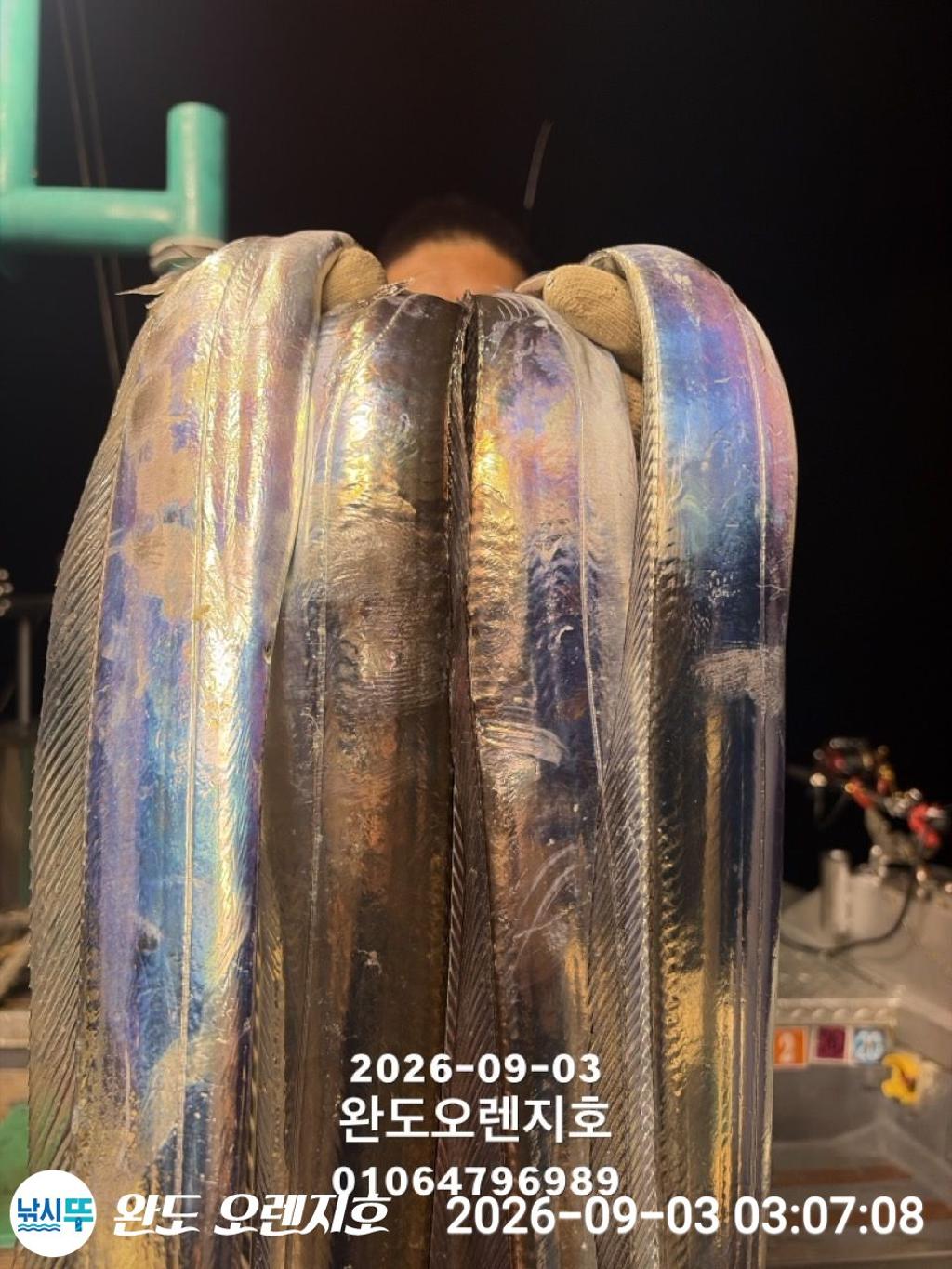 낚시뚜,갈치,완도항,완도 오렌지호,낚시뚜21
