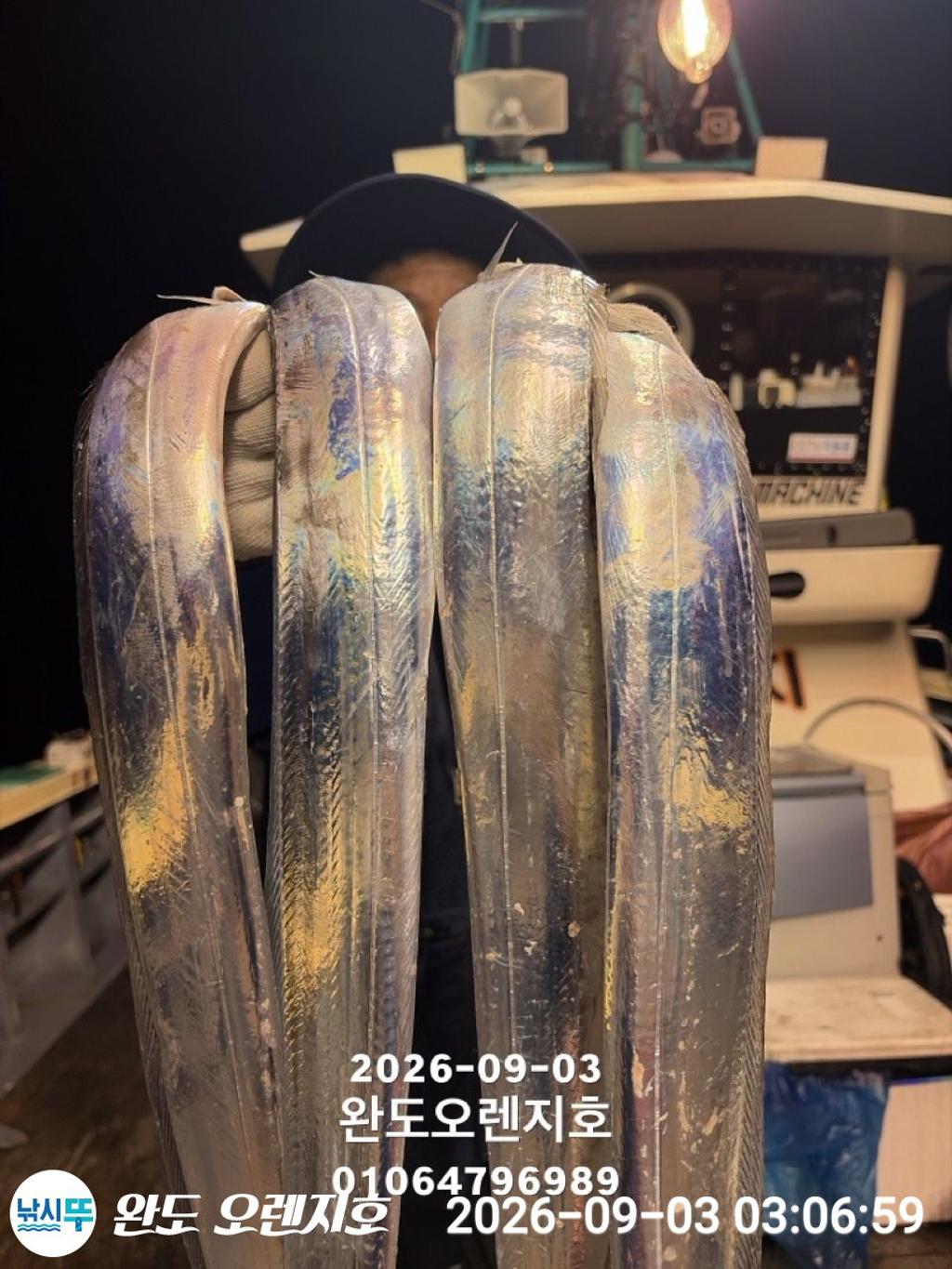 낚시뚜,갈치,완도항,완도 오렌지호,낚시뚜17