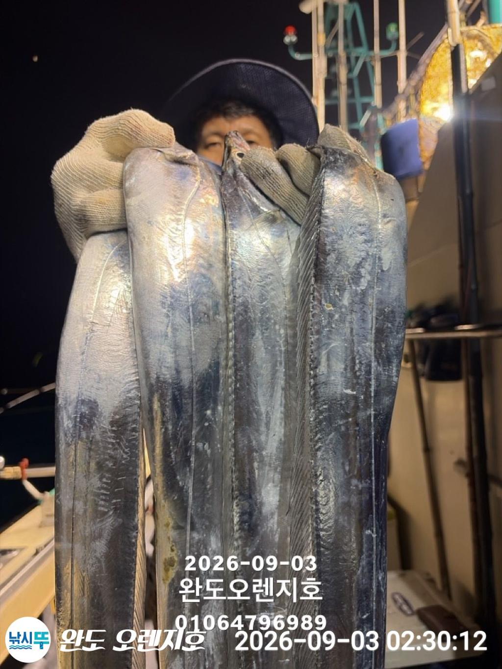 낚시뚜,갈치,완도항,완도 오렌지호,낚시뚜13