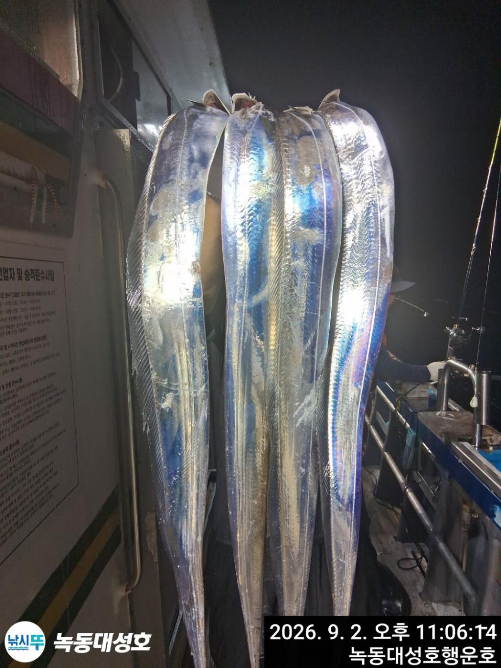 낚시뚜,갈치,녹동항,녹동대성호,낚시뚜16