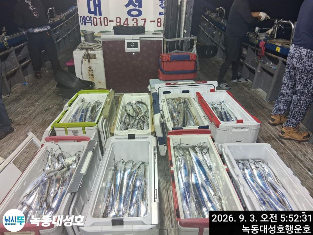 낚시뚜,갈치,녹동항,녹동대성호,낚시뚜0