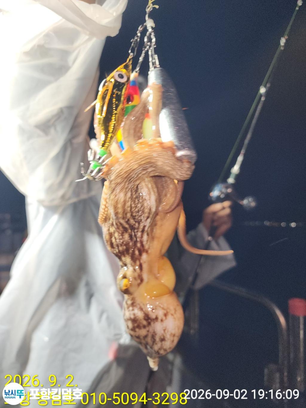 낚시뚜,돌문어,영일만항,포항 킹덤호,낚시뚜14