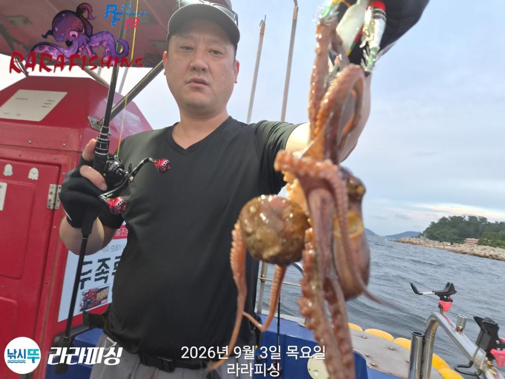 낚시뚜,돌문어,속천항(진해),라라피싱,낚시뚜3