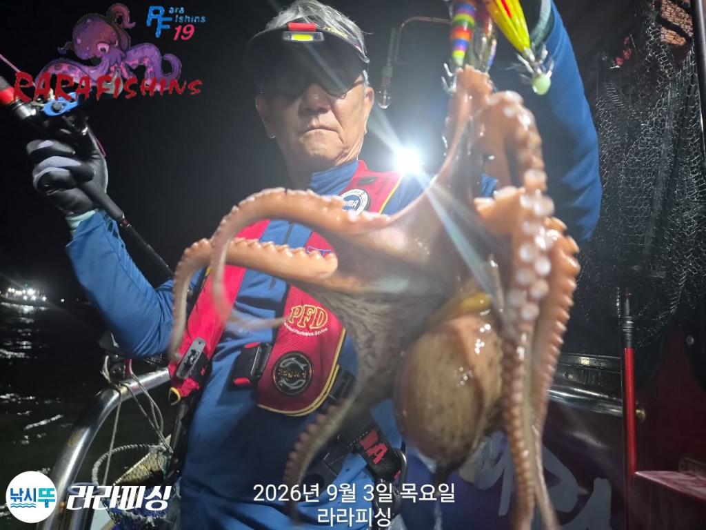 낚시뚜,돌문어,속천항(진해),라라피싱,낚시뚜2