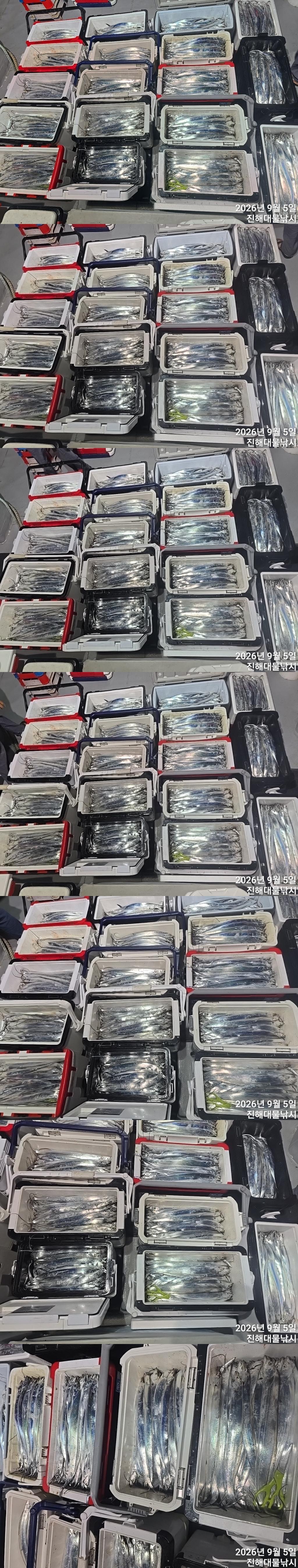 낚시뚜,갈치,진해1부두항,진해대물낚시,낚시뚜0