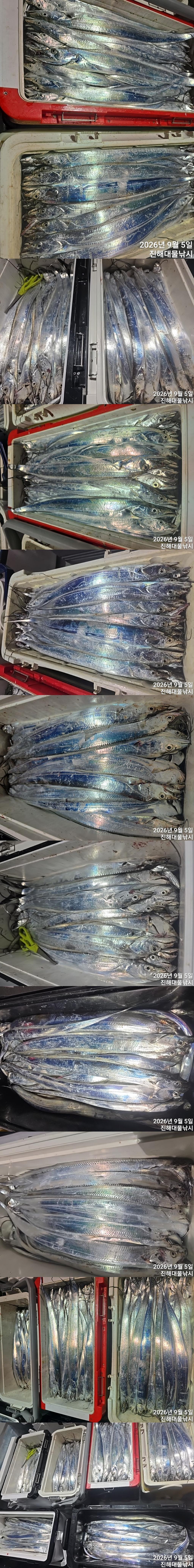 낚시뚜,갈치,진해1부두항,진해대물낚시,낚시뚜1