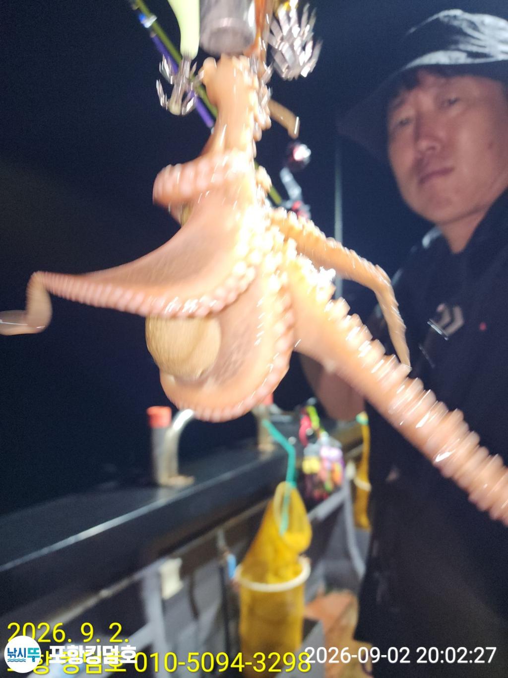 낚시뚜,돌문어,영일만항,포항 킹덤호,낚시뚜14