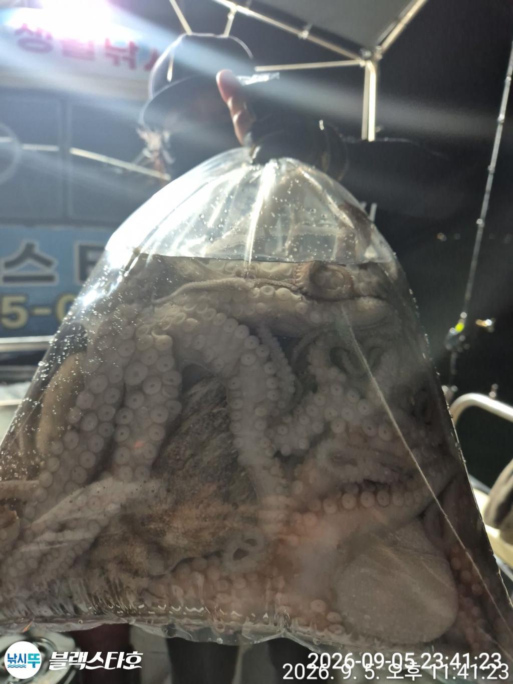 낚시뚜,돌문어,삼천포 팔포항,삼천포 블랙스타,낚시뚜18