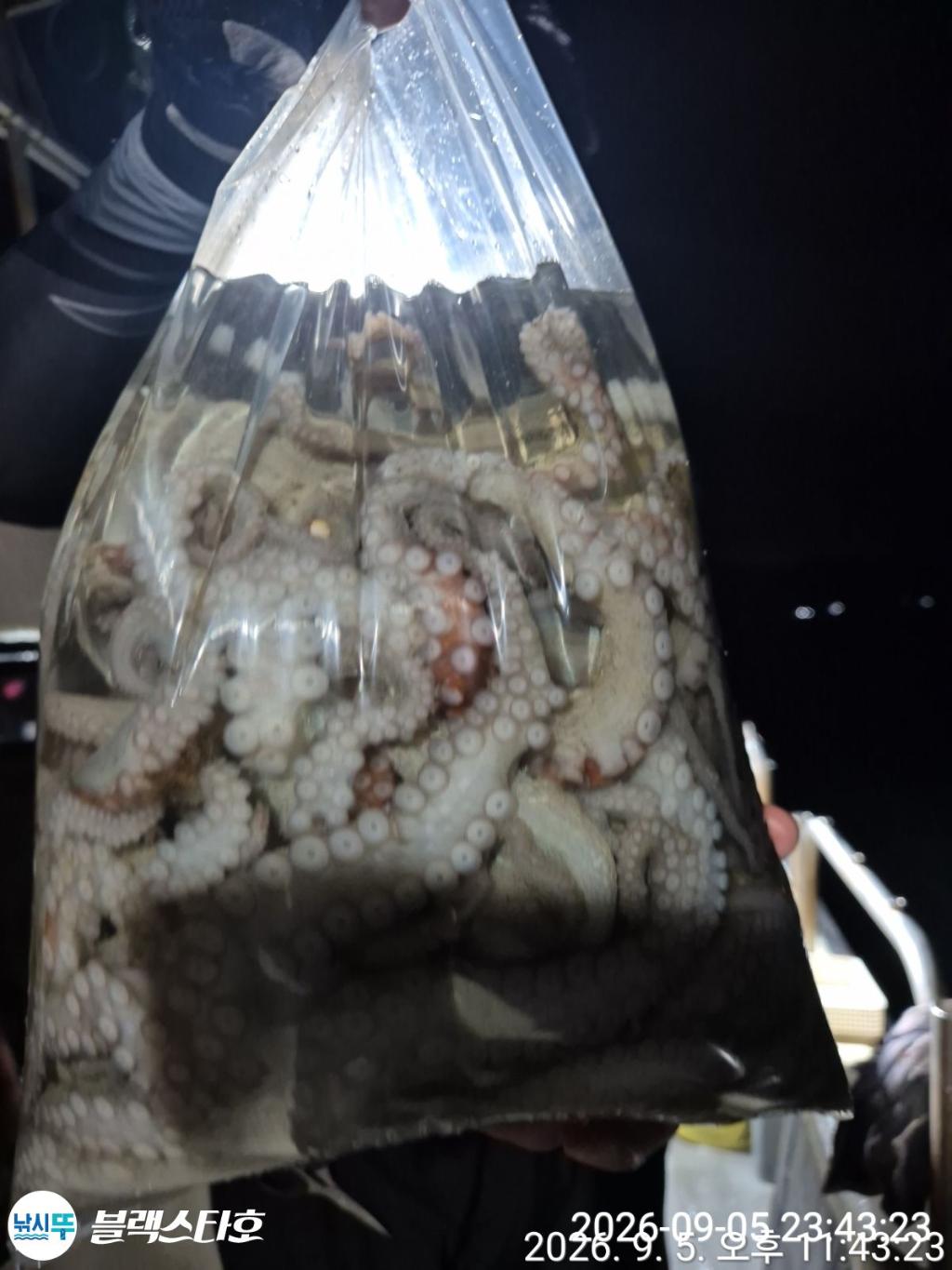 낚시뚜,돌문어,삼천포 팔포항,삼천포 블랙스타,낚시뚜14