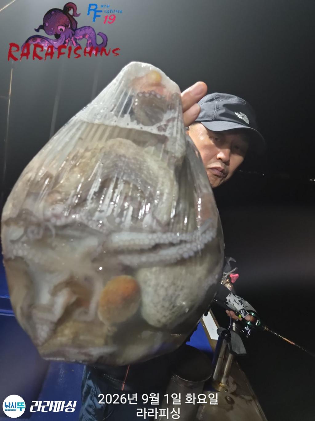 낚시뚜,돌문어,속천항(진해),라라피싱,낚시뚜13
