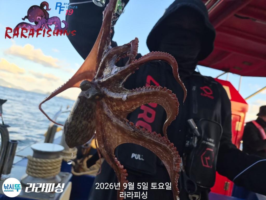 낚시뚜,돌문어,속천항(진해),라라피싱,낚시뚜1