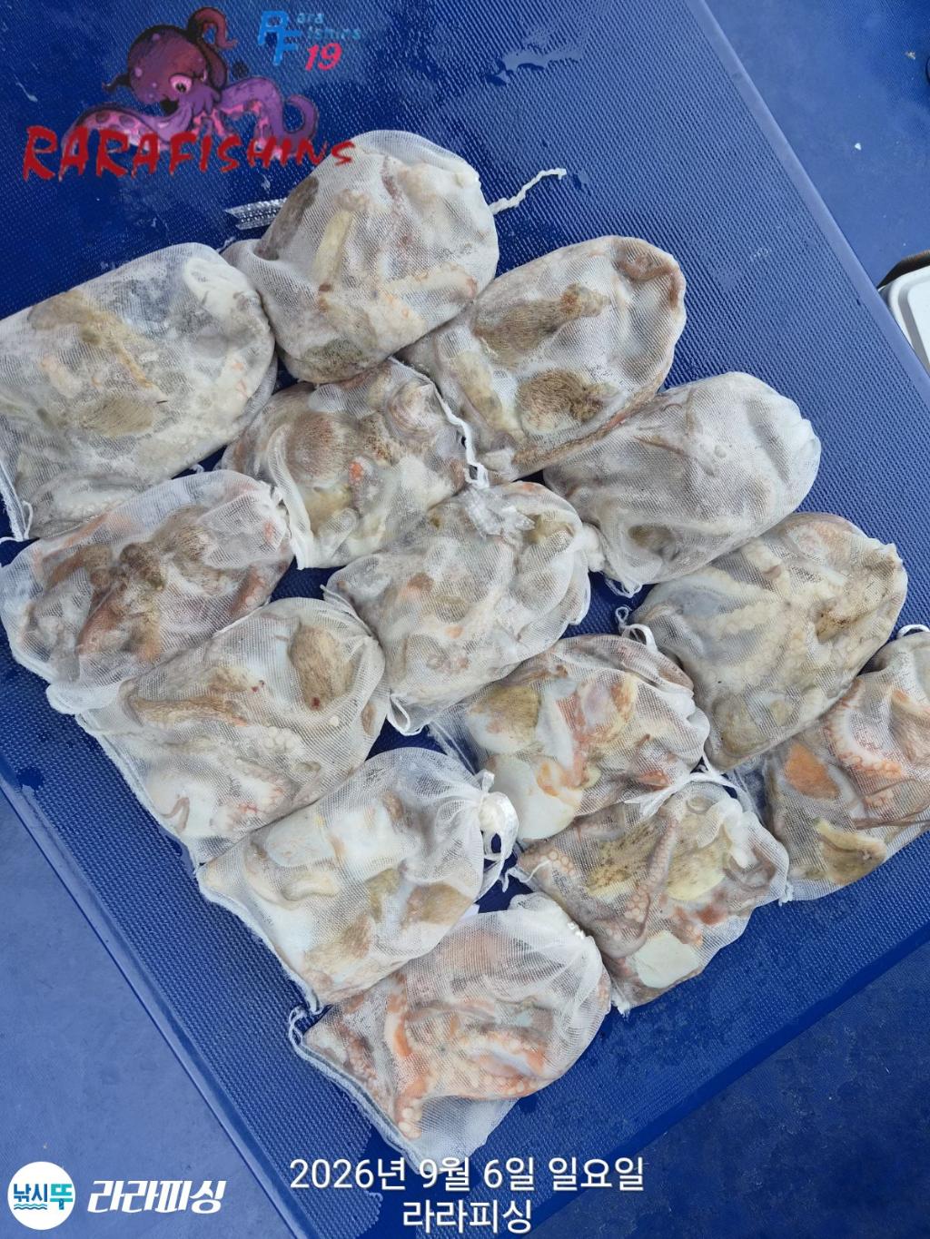 낚시뚜,돌문어,속천항(진해),라라피싱,낚시뚜18