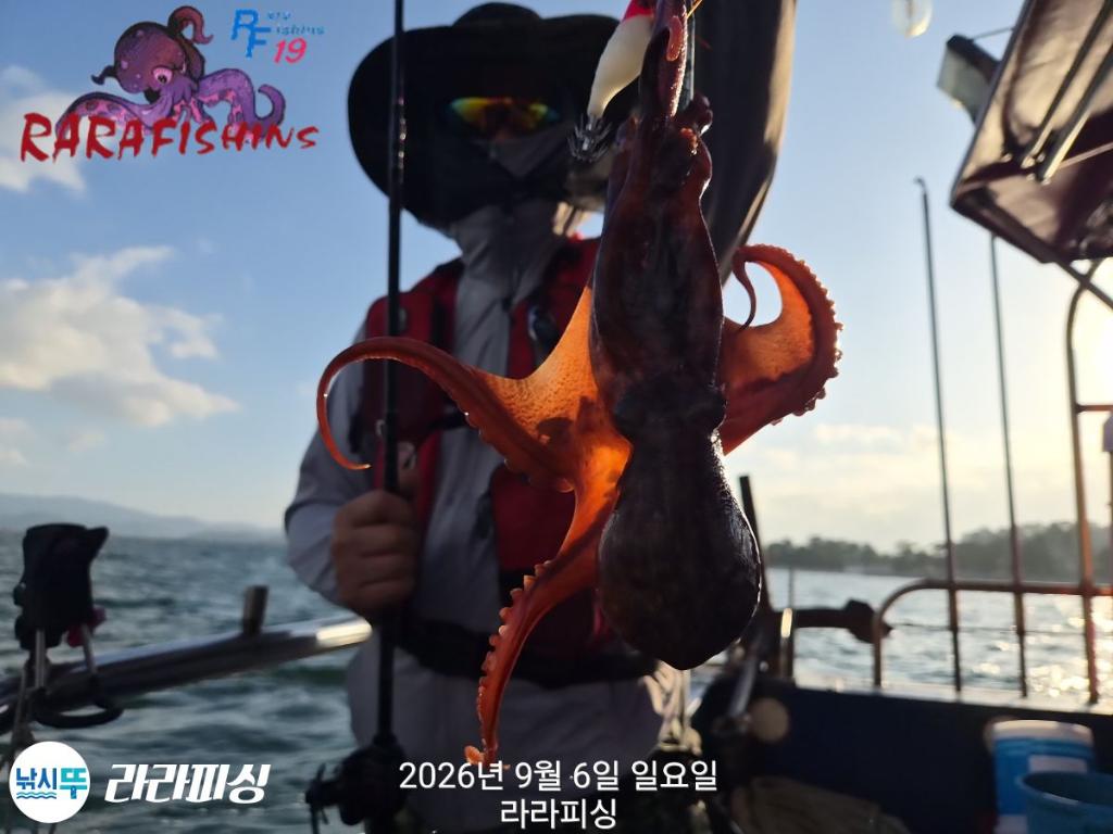 낚시뚜,돌문어,속천항(진해),라라피싱,낚시뚜13