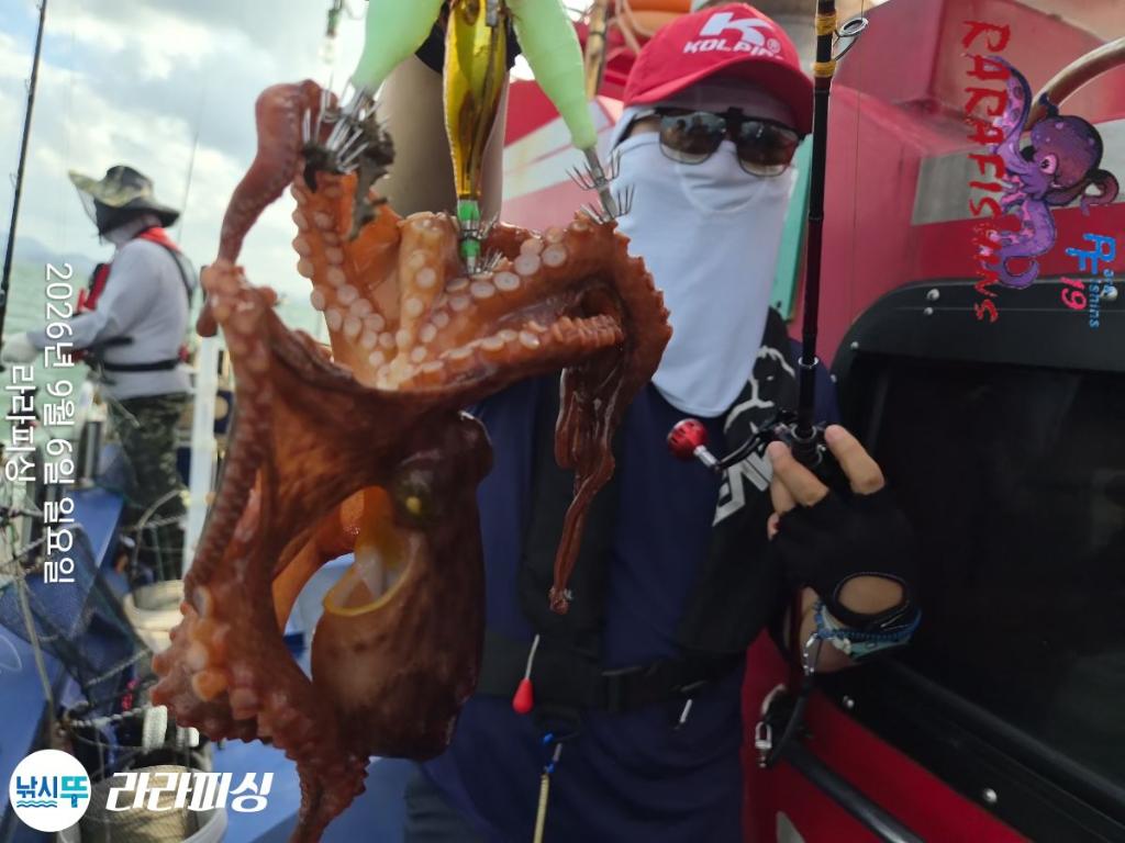 낚시뚜,돌문어,속천항(진해),라라피싱,낚시뚜10
