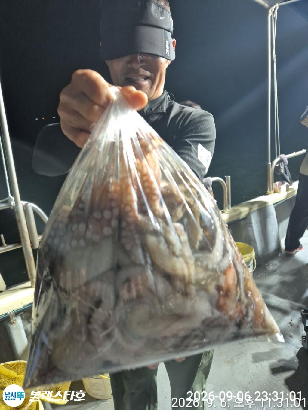 낚시뚜,돌문어,삼천포 팔포항,삼천포 블랙스타,낚시뚜16