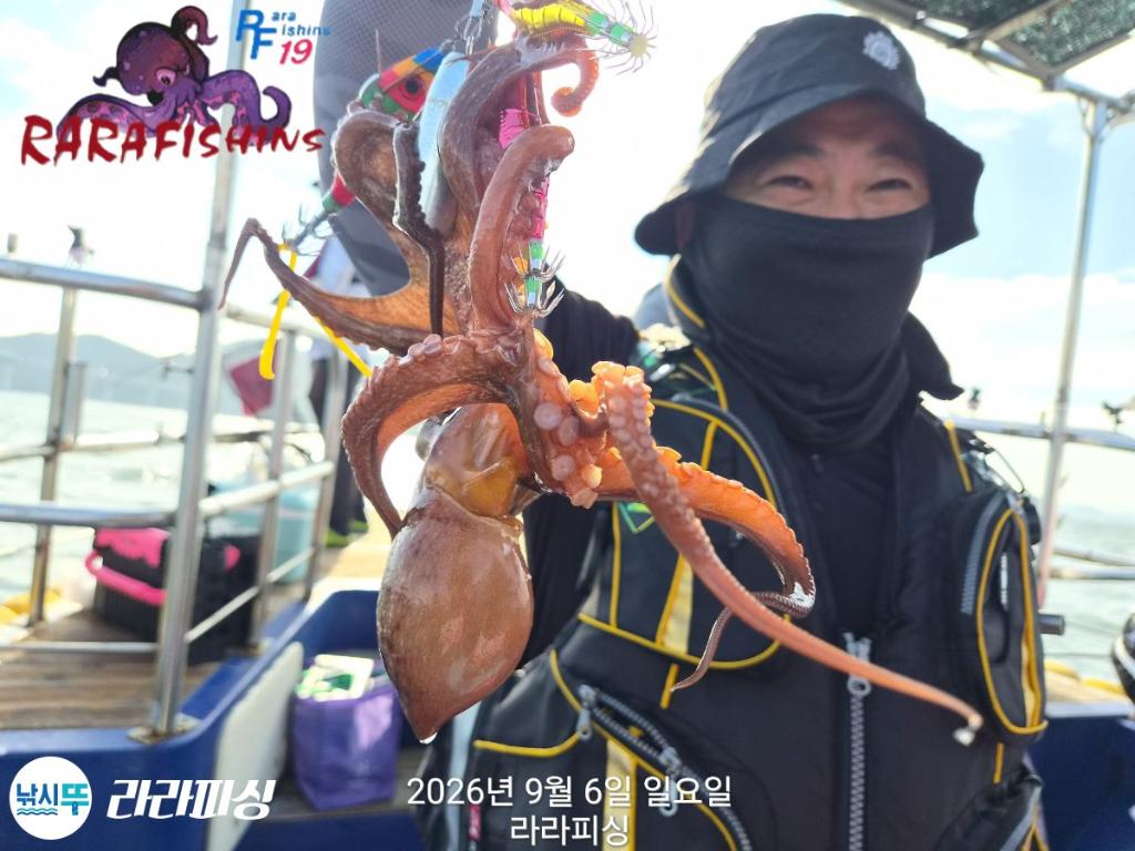 낚시뚜,돌문어,속천항(진해),라라피싱,낚시뚜9