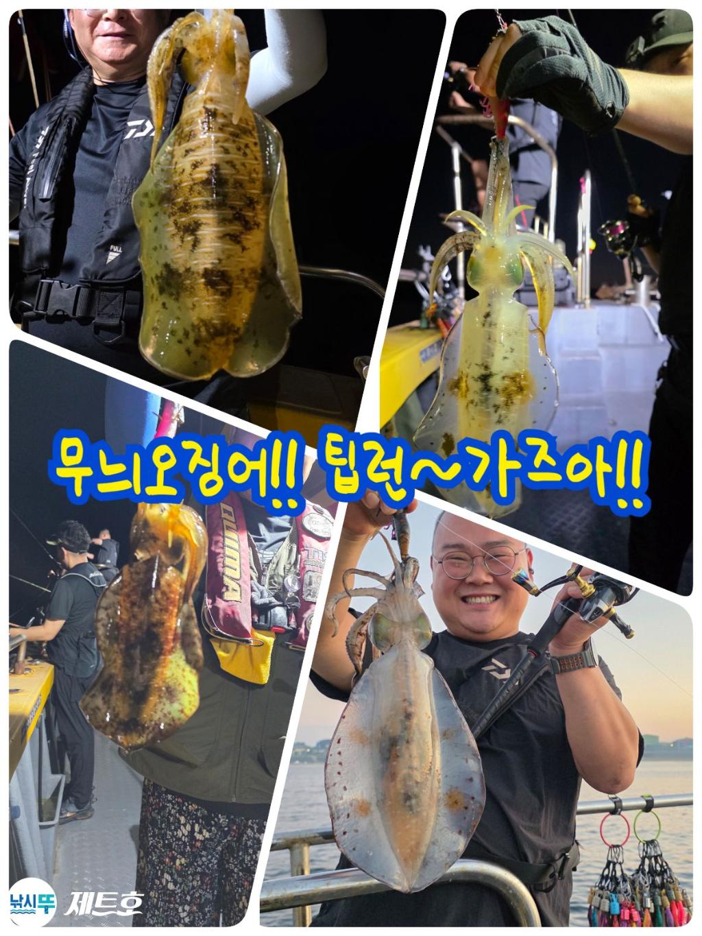 낚시뚜,무늬오징어,영일만항,포항 제트호,낚시뚜0