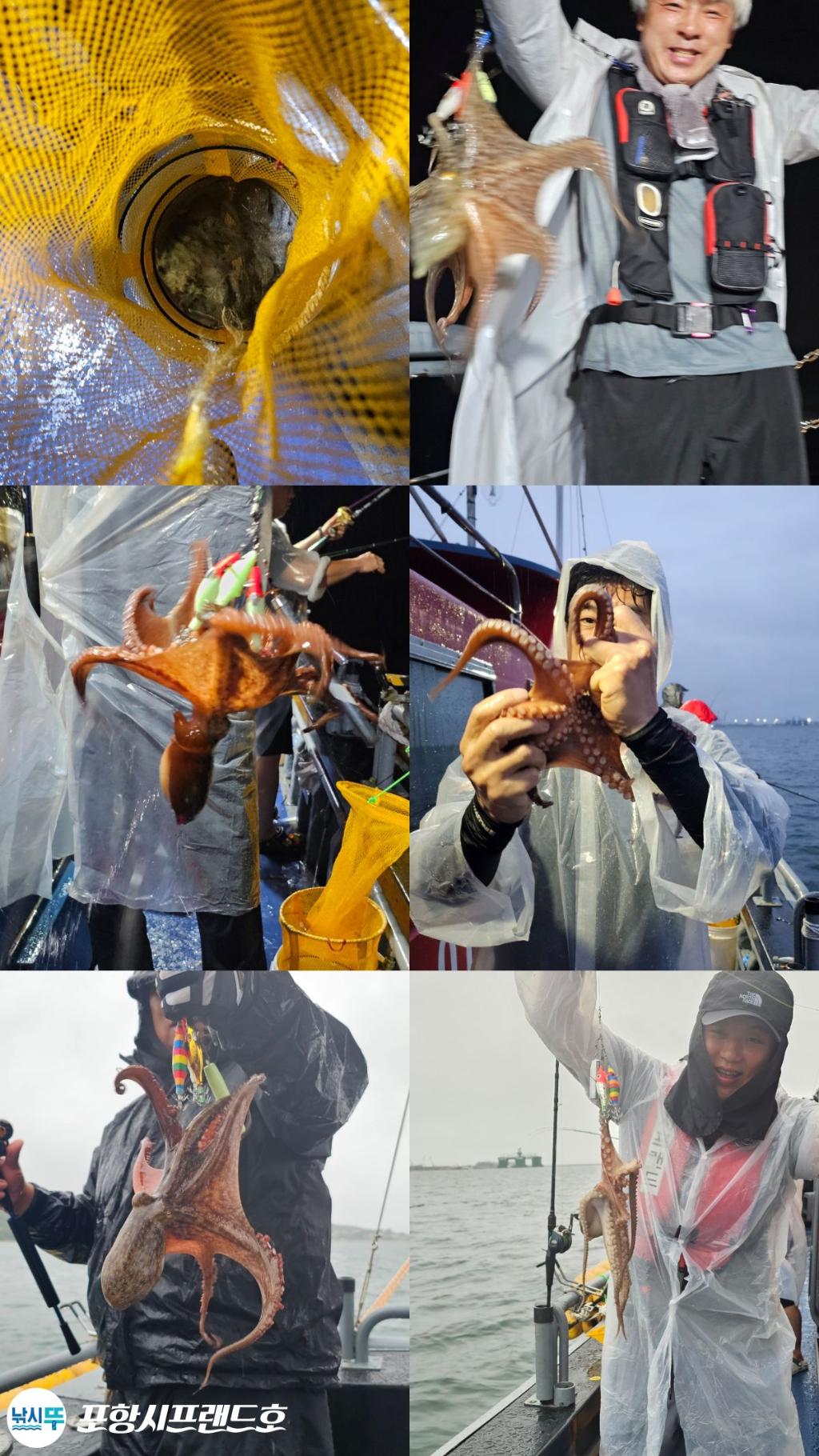 낚시뚜,돌문어,영일만항,포항시프랜드호,낚시뚜1