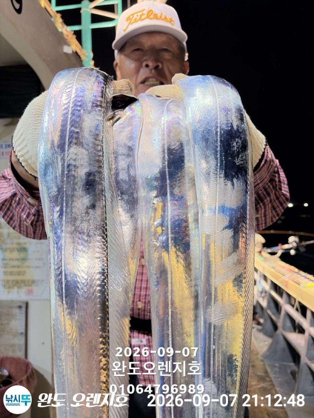 낚시뚜,갈치,완도항,완도 오렌지호,낚시뚜12