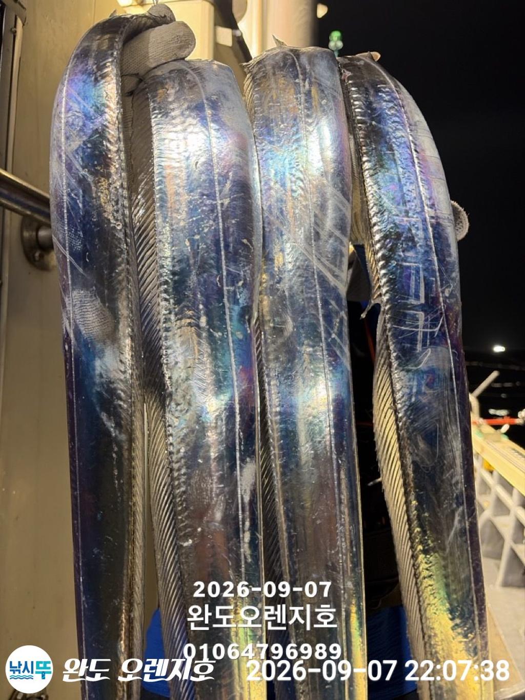 낚시뚜,갈치,완도항,완도 오렌지호,낚시뚜9