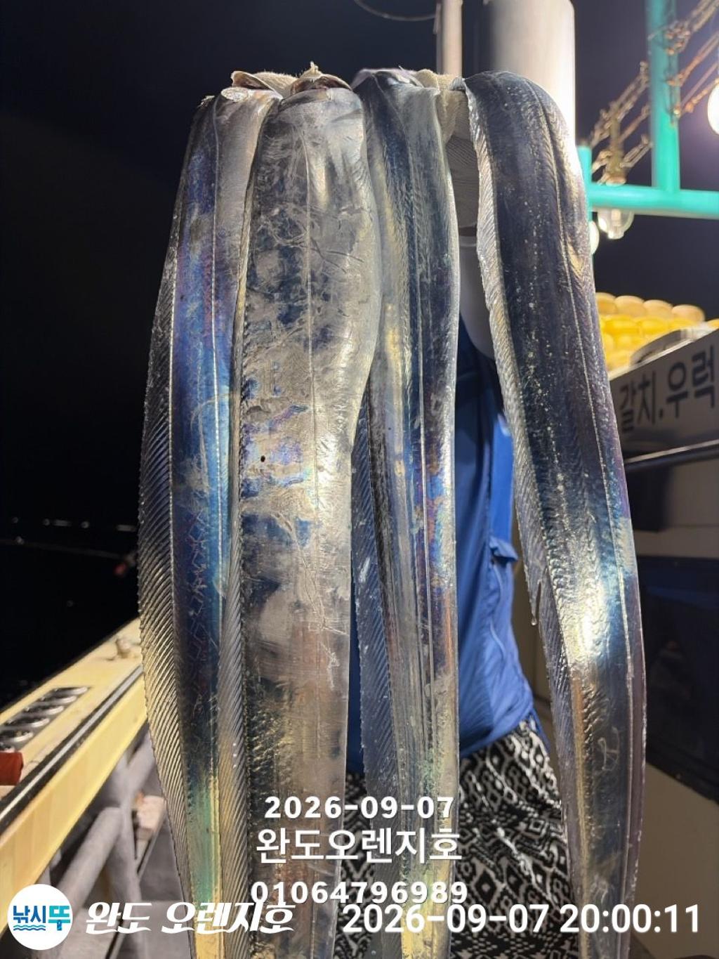 낚시뚜,갈치,완도항,완도 오렌지호,낚시뚜0