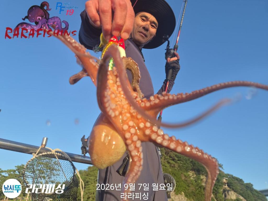 낚시뚜,돌문어,속천항(진해),라라피싱,낚시뚜3