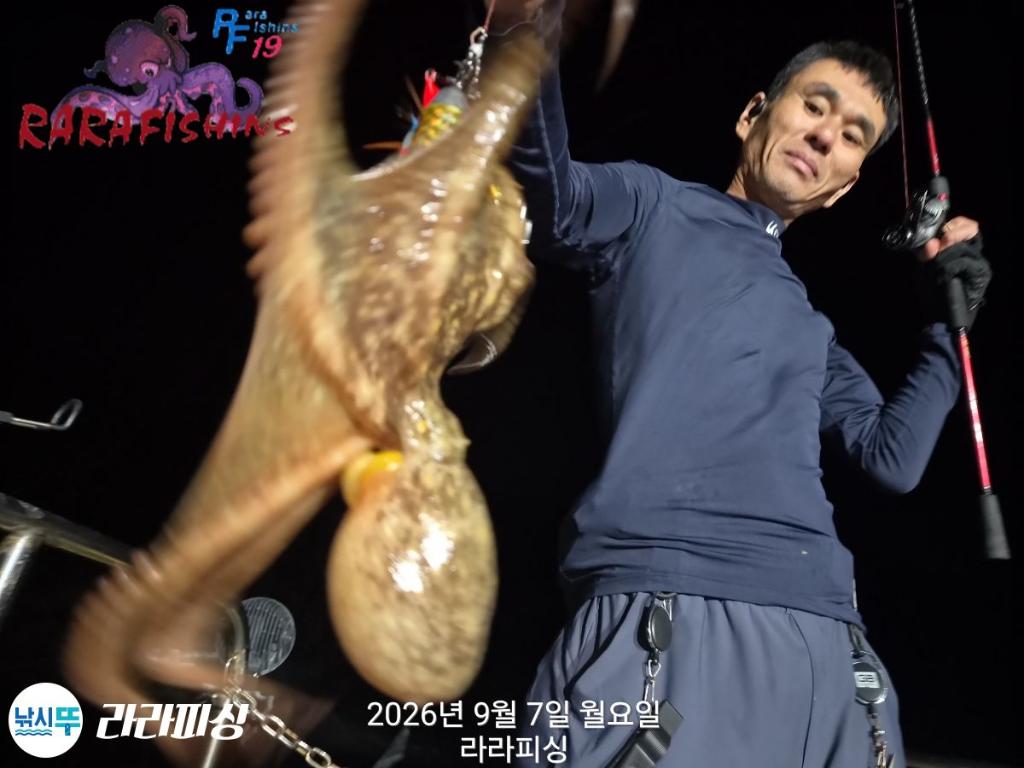 낚시뚜,돌문어,속천항(진해),라라피싱,낚시뚜2