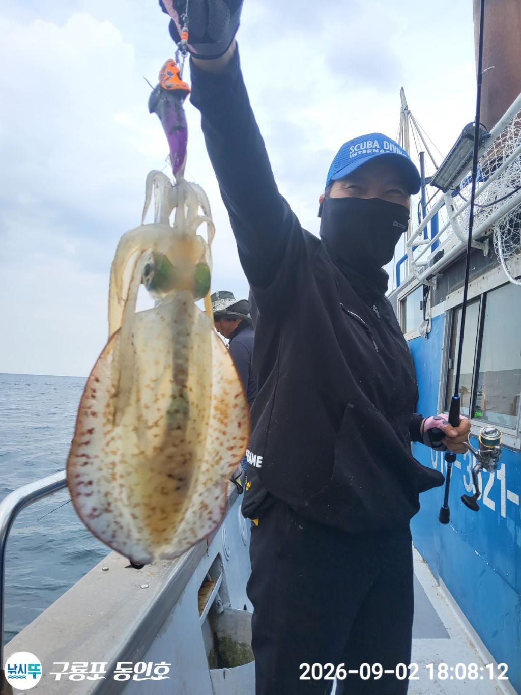 낚시뚜,무늬오징어,구룡포항,구룡포 동인호,낚시뚜0