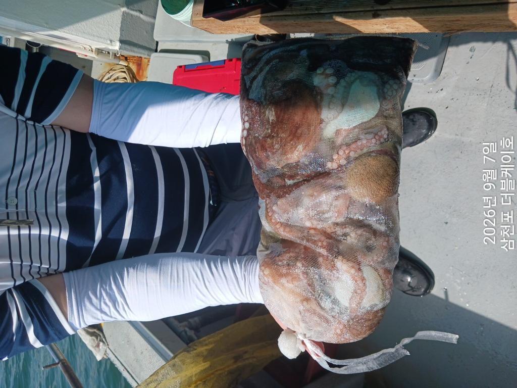 낚시뚜,돌문어,삼천포 팔포항,삼천포 더블케이호,낚시뚜13
