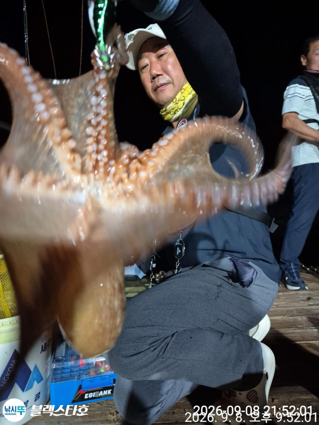 낚시뚜,돌문어,삼천포 팔포항,삼천포 블랙스타,낚시뚜7
