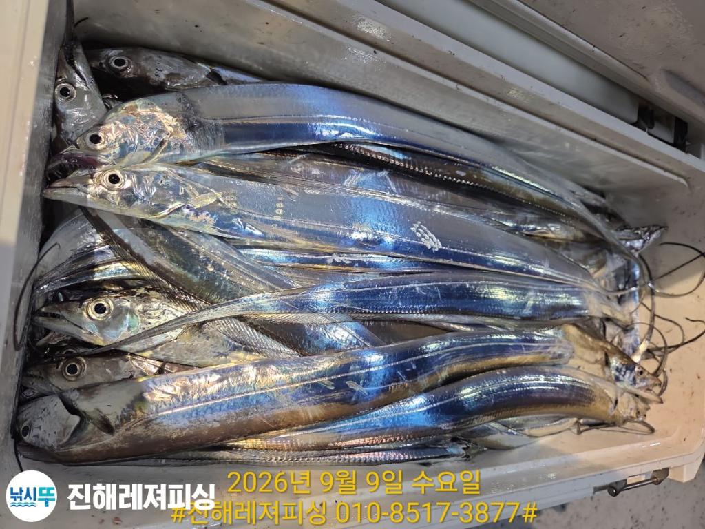 낚시뚜,갈치,진해1부두항,진해레져피싱,낚시뚜19