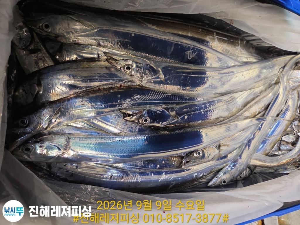 낚시뚜,갈치,진해1부두항,진해레져피싱,낚시뚜18