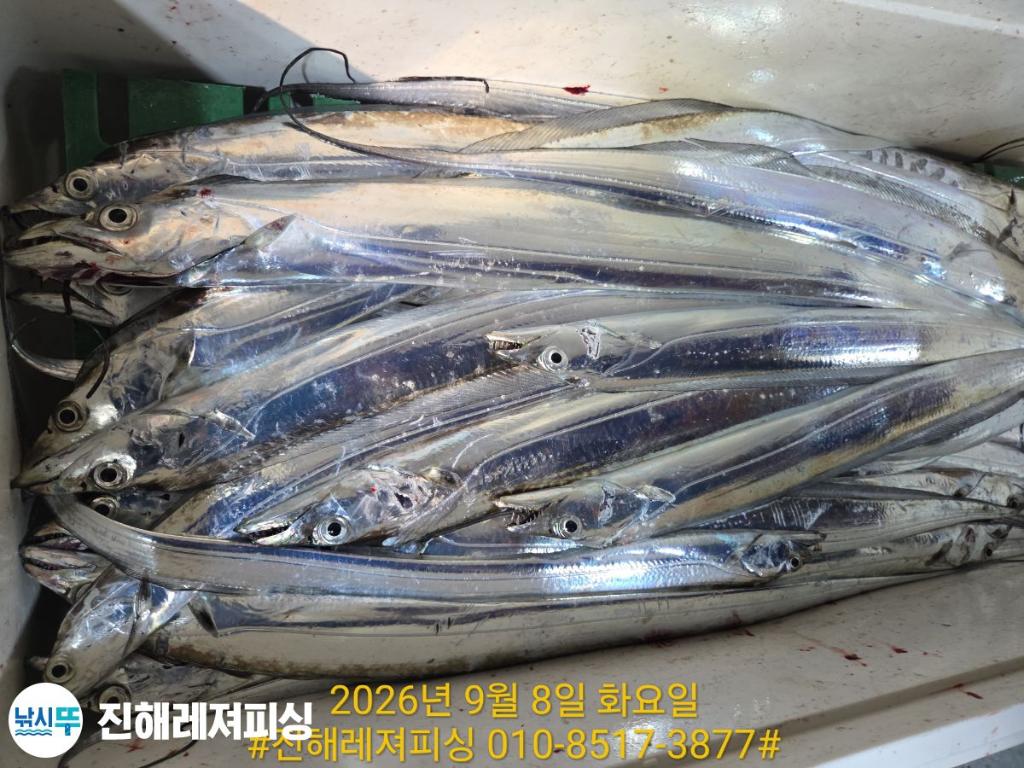 낚시뚜,갈치,진해1부두항,진해레져피싱,낚시뚜13