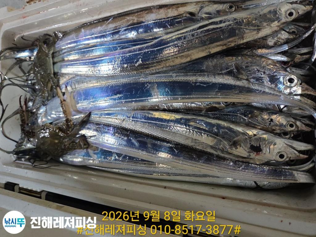 낚시뚜,갈치,진해1부두항,진해레져피싱,낚시뚜10
