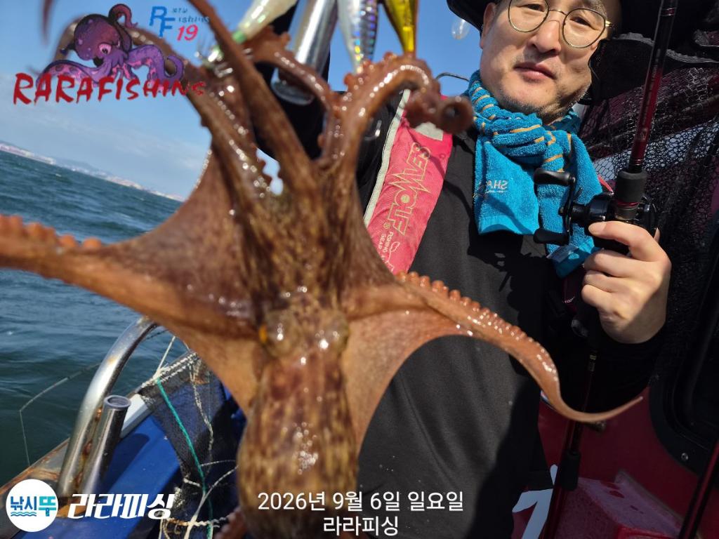 낚시뚜,돌문어,속천항(진해),라라피싱,낚시뚜6
