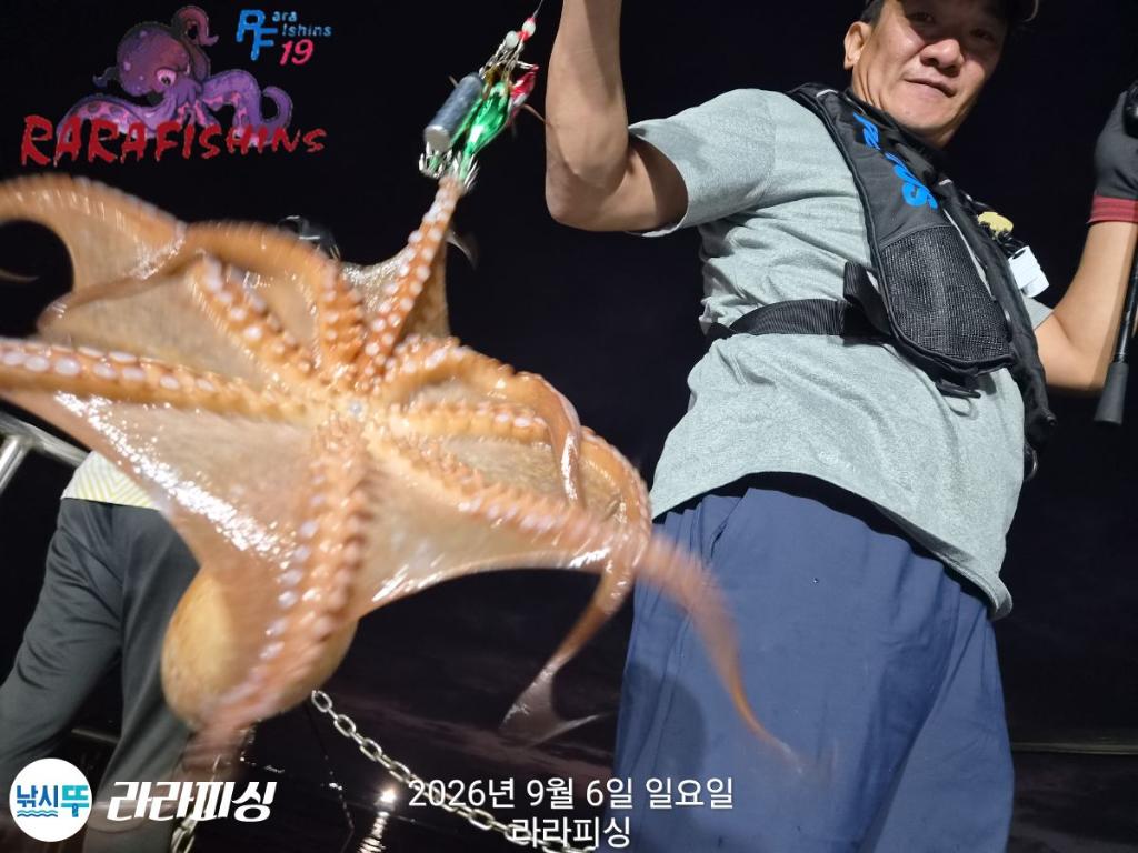 낚시뚜,돌문어,속천항(진해),라라피싱,낚시뚜5