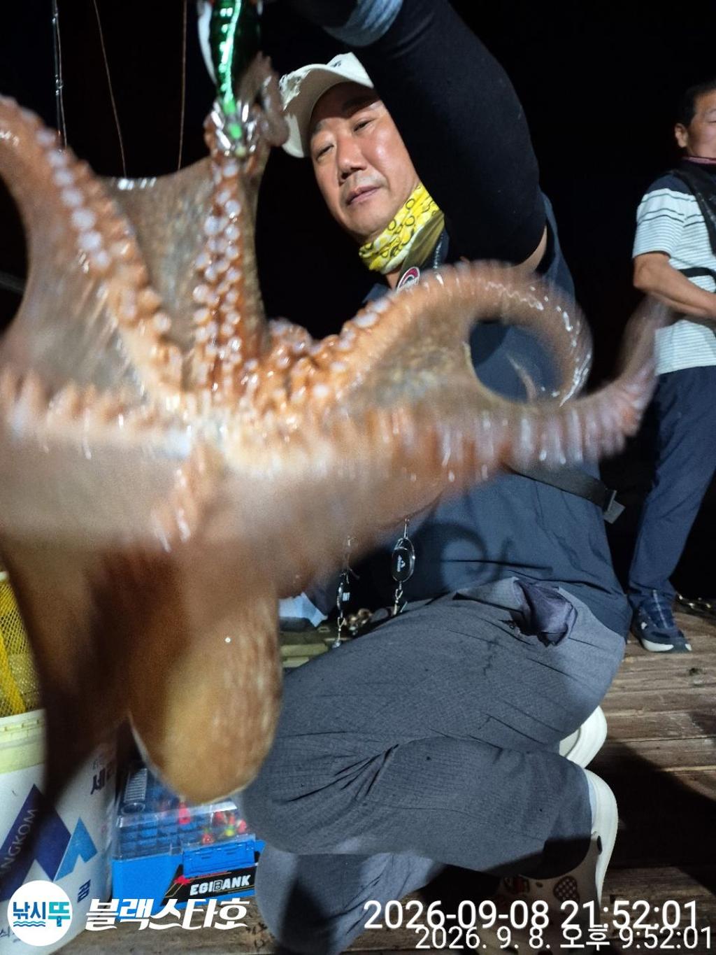낚시뚜,돌문어,삼천포 팔포항,삼천포 블랙스타,낚시뚜0