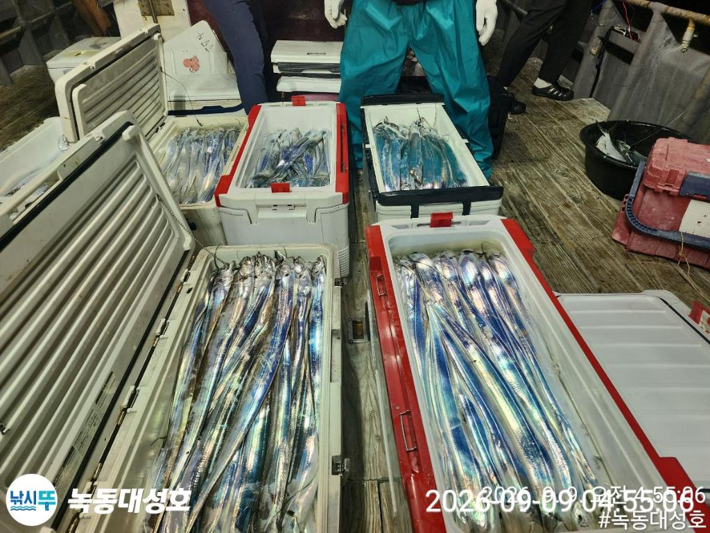 낚시뚜,갈치,녹동항,녹동대성호,낚시뚜45