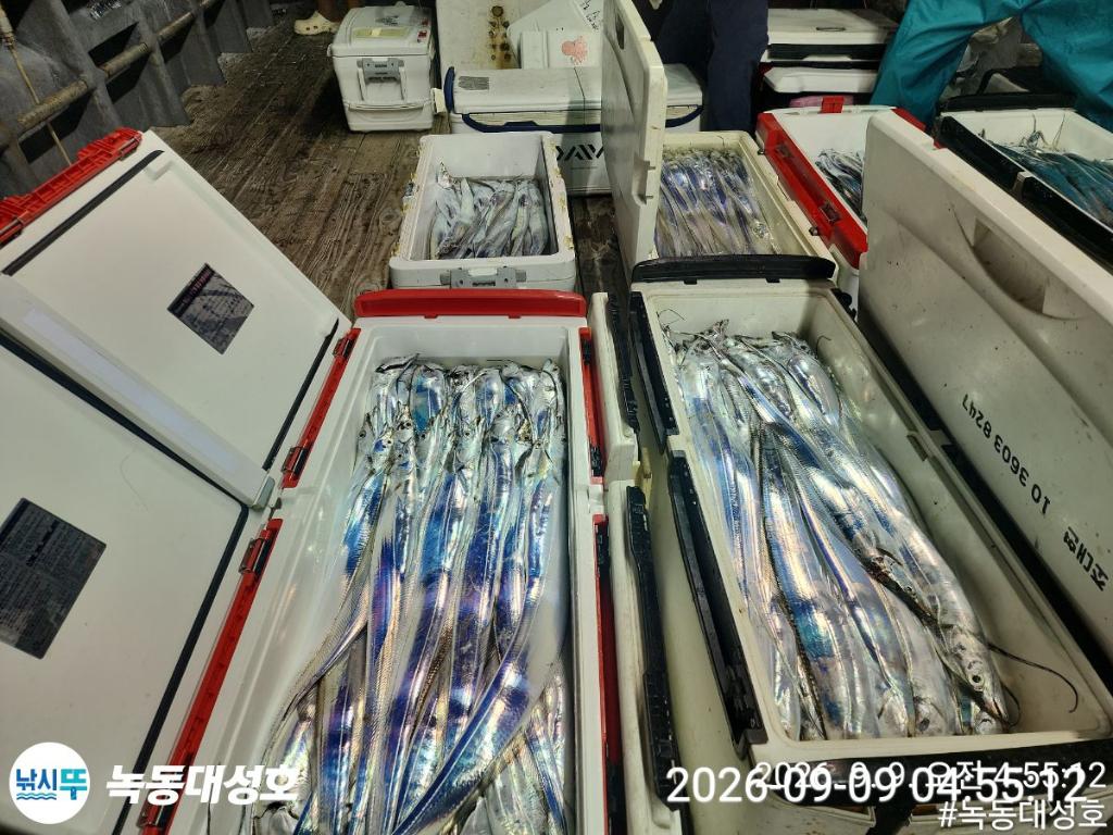 낚시뚜,갈치,녹동항,녹동대성호,낚시뚜44
