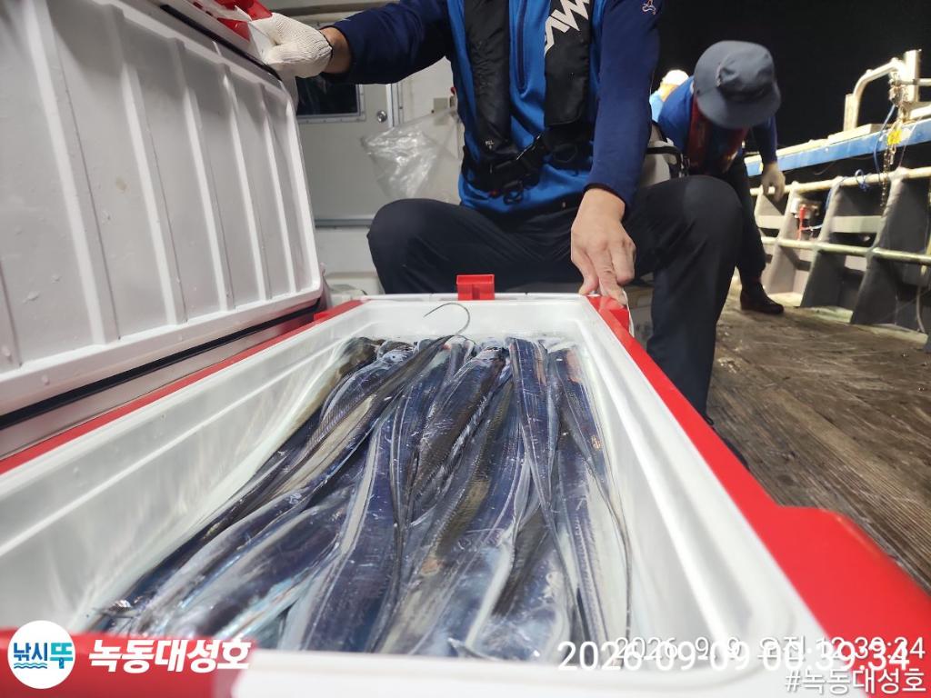 낚시뚜,갈치,녹동항,녹동대성호,낚시뚜33