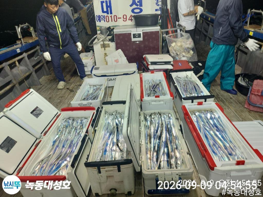 낚시뚜,갈치,녹동항,녹동대성호,낚시뚜1