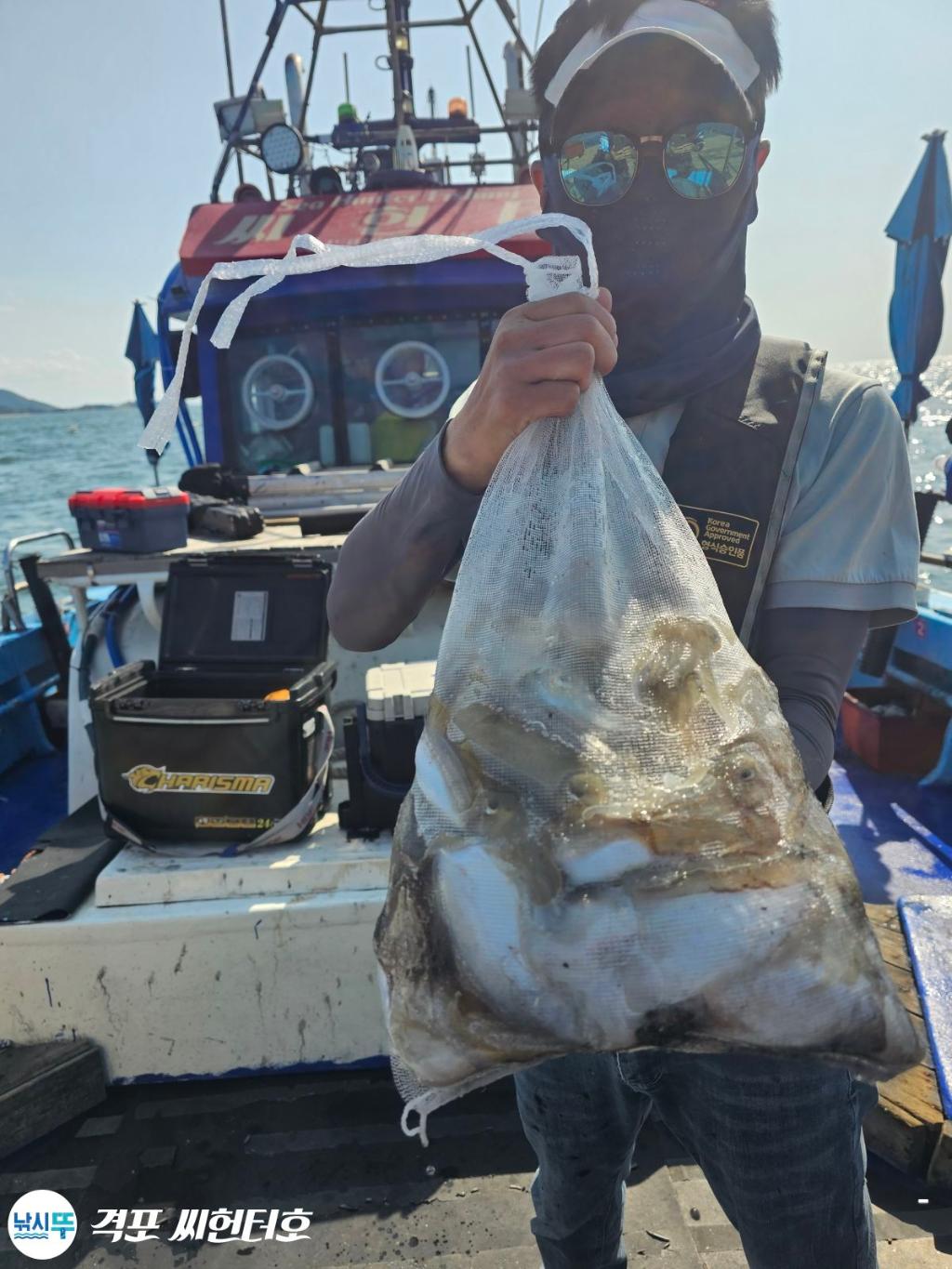 낚시뚜,갑오징어,쭈꾸미,격포,격포 씨헌터호,낚시뚜0