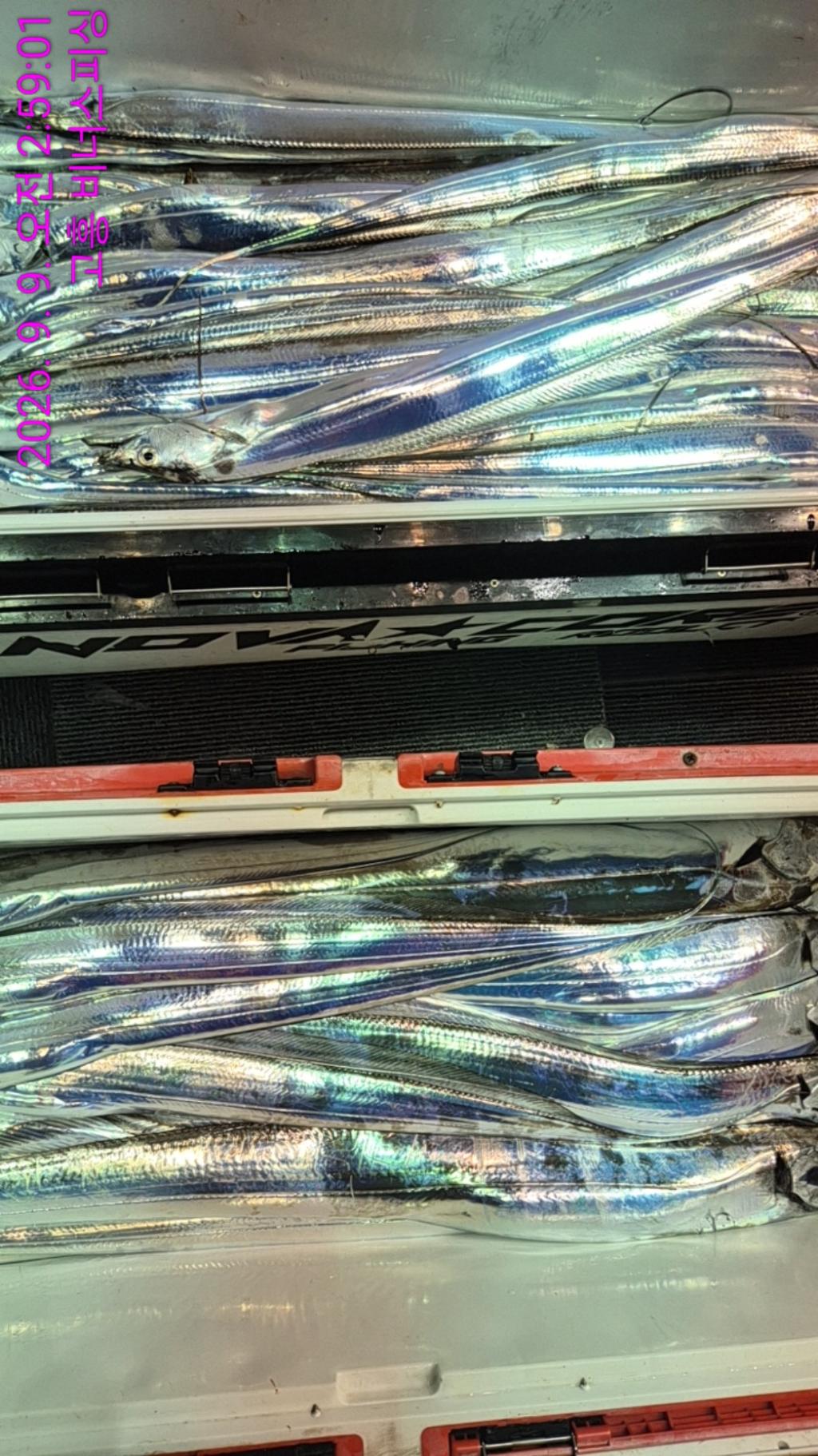 낚시뚜,,녹동항,비너스피싱,낚시뚜9