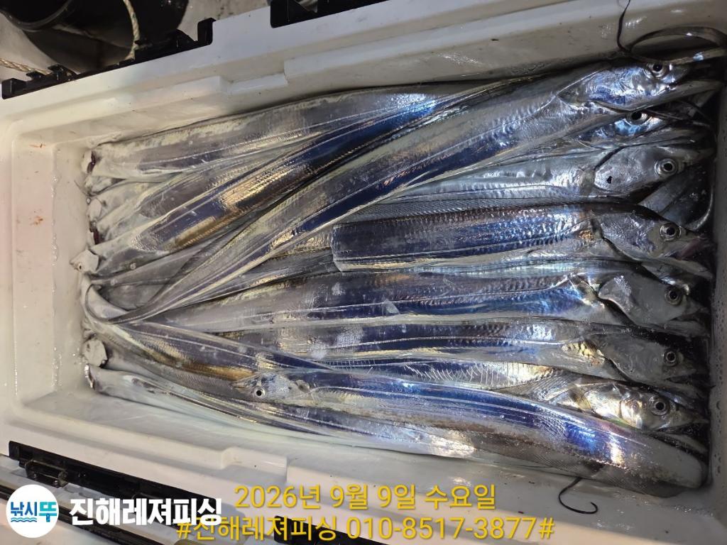 낚시뚜,갈치,진해1부두항,진해레져피싱,낚시뚜29
