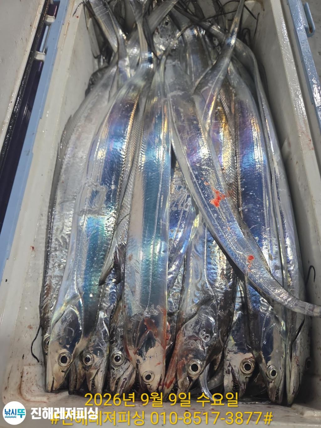 낚시뚜,갈치,진해1부두항,진해레져피싱,낚시뚜23